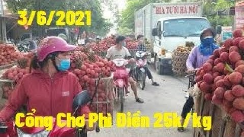 Cổng Chợ Phì Điền Vải Thiều, Thanh Hà, U Hồng Đẹp Vẫn Giá Cao l Vải Thiều Lục Ngạn