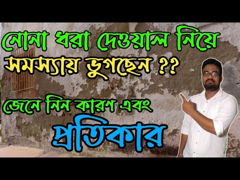 নোনা কী ?? কীভাবে এটি দূর করবেন ?? Wall Dampness Solution in Bengali || Efflorescence Test of Brick