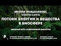 Евгения Правдолюбова: Вводный курс современной биологии. Четвертое занятие: биосфера