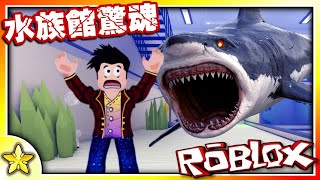 【Roblox 恐怖劇情冒險】 前往新建成的【水族館】進行校外參觀教學卻突然遭到【恐怖鯊魚】追殺！ Aquarium Story (水族館故事)｜全字幕【至尊星】