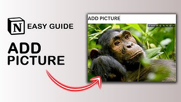 How to Add Picture in Gallery View in Notion (Easy Guide)