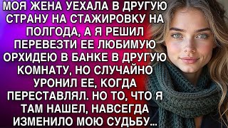видео: Я РЕШИЛ ПЕРЕВЕЗТИ ЕЕ ЛЮБИМУЮ ОРХИДЕЮ В БАНКЕ В ДРУГУЮ КОМНАТУ, НО СЛУЧАЙНО УРОНИЛ ЕЕ, И НАШЕЛ ТАМ... картинка: Я РЕШИЛ ПЕРЕВЕЗТИ ЕЕ ЛЮБИМУЮ ОРХИДЕЮ В БАНКЕ В ДРУГУЮ КОМНАТУ, НО СЛУЧАЙНО УРОНИЛ ЕЕ, И НАШЕЛ ТАМ...