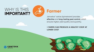 Jemvelva active - Mode of Action