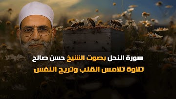 سورة النحل بصوت الشيخ حسن صالح – تلاوة تلامس القلب وتريح النفس
