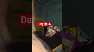 daily workout at home