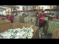 United Food Bank helps feed people suffering from food instability