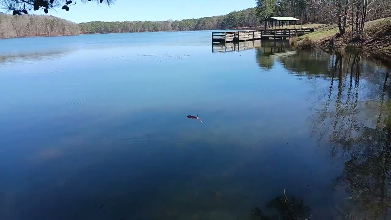 bed fishing for big bass