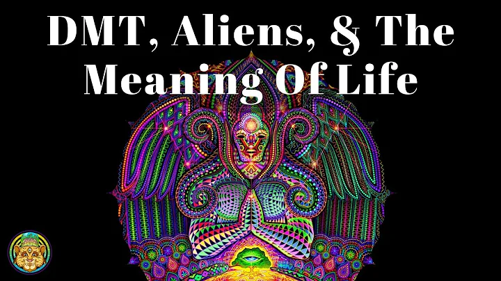 DMT, Aliens, And The Meaning Of Life | Dr. Andrew ...