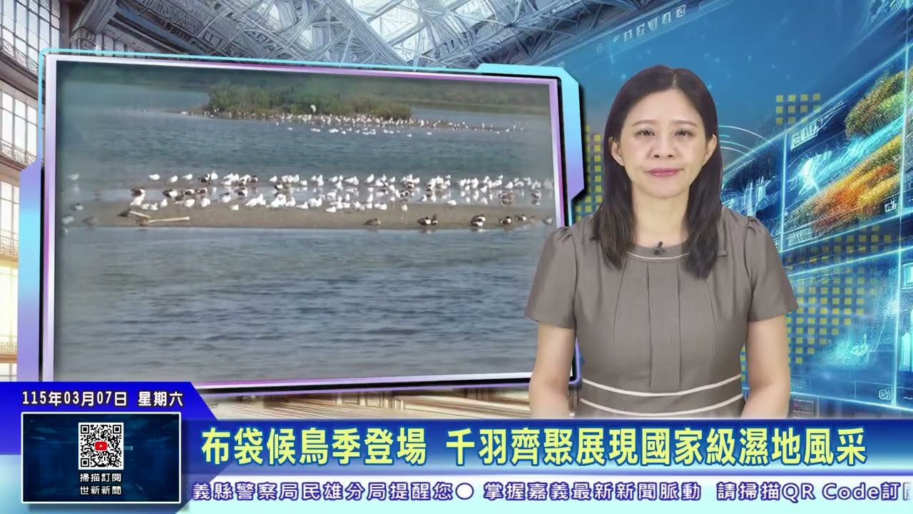 世新新聞 布袋候鳥季登場 千羽齊聚展現國家級濕地風采
