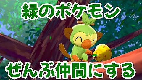 はるゆのおもちゃ箱 Youtube