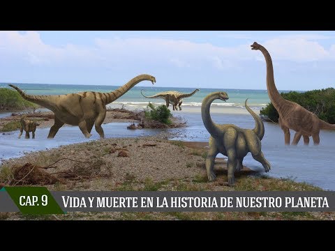 Video: Rocas Berdsky: un monumento natural en la región de Novosibirsk