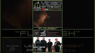 HILLBLOCKSVIEW-“Flourish” Video of the Day!