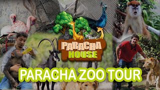 🦌🦩 Paracha Zoo Tour | 🐾🦒 Exploring Paracha Zoo's Exotic Animals 🦁 | SR Breeding Farm 🐅🦓