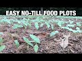 Easy No-till Food Plots -- QDMA Whitetail Weekend Seminar