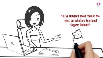 ESA Scripts | Pets Care Doctor Whiteboard Animation Video | Created by The Mentors Animation