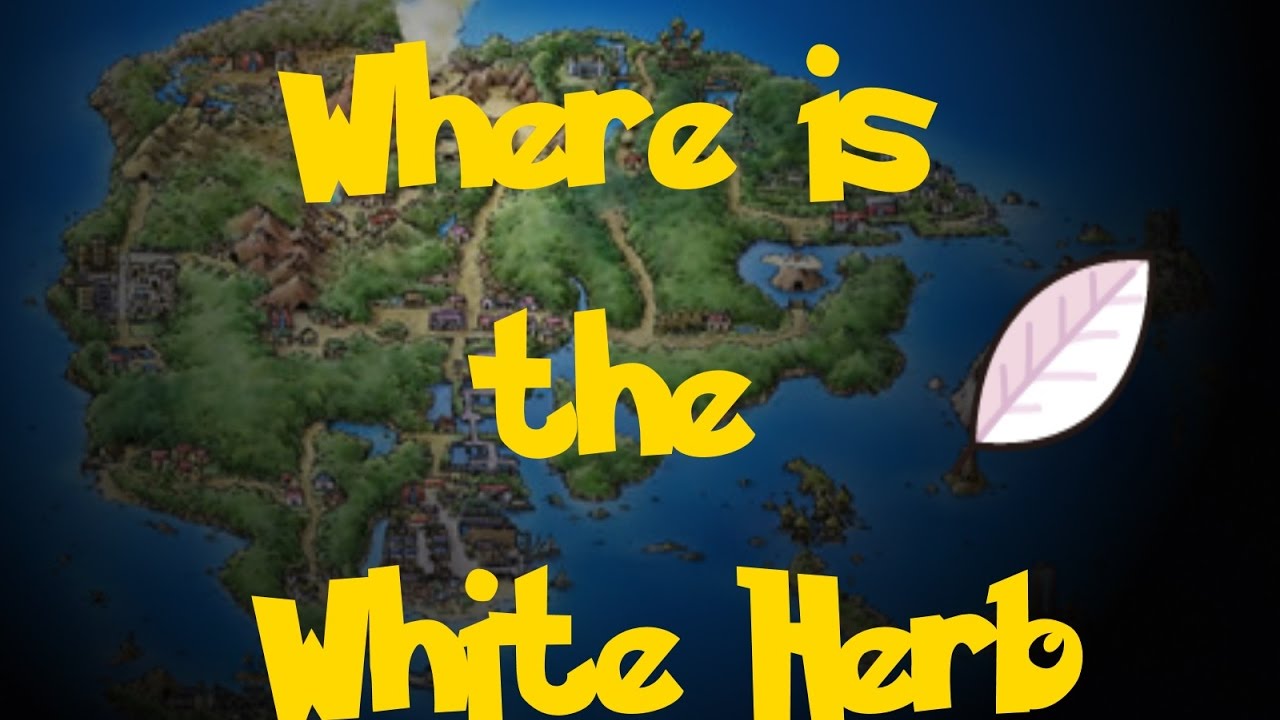 Where Is The White Herb (Pokemon Emerald) YouTube