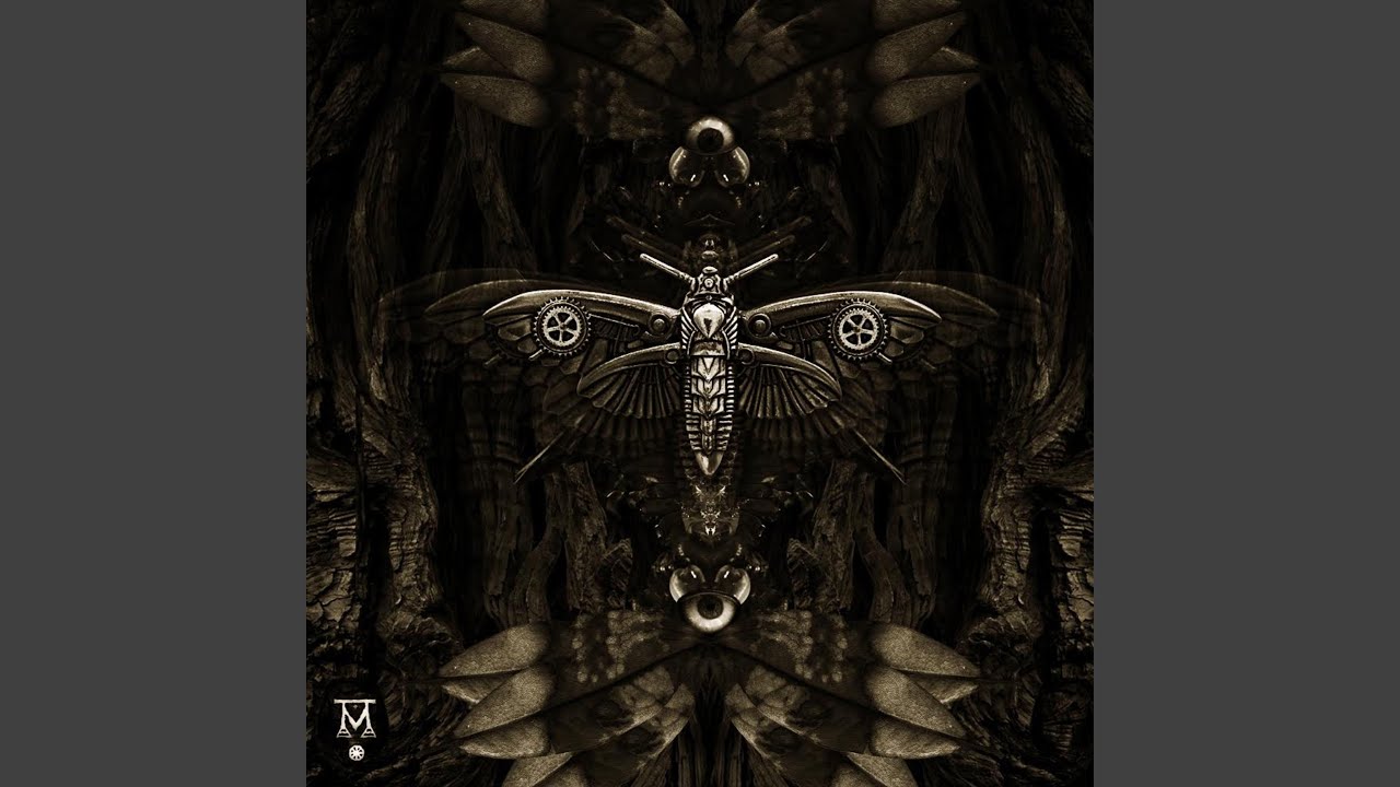 Watch Cicada on YouTube Watch Cicada on YouTube