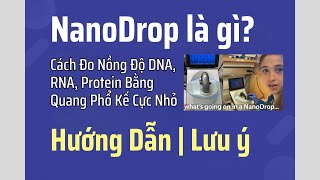 Nanodrop Là Gì? Cách Đo Nồng Độ Dna, Rna, Protein Bằng Quang Phổ Kế Cực Nhỏ Hướng Dẫn & Lưu Ý