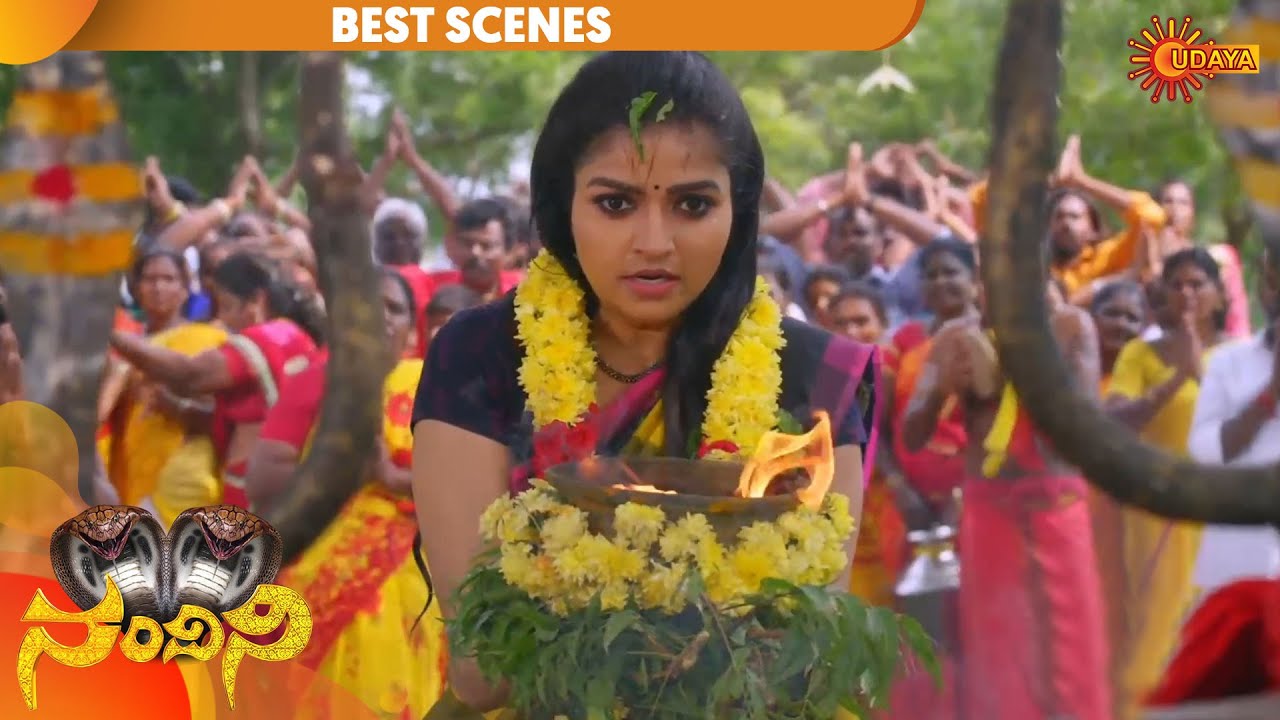 Nandini - Episode Revisit | Udaya TV Serial | Kannada Serial