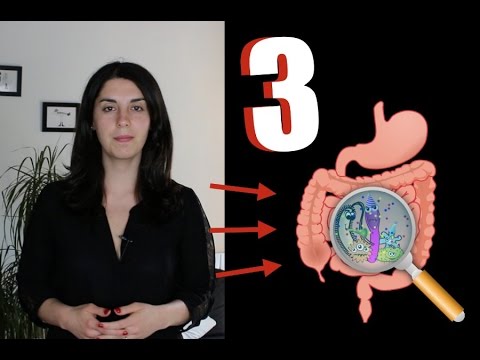 Vidéo: 3 Organisations Qui Aident à Améliorer Votre Santé Intestinale