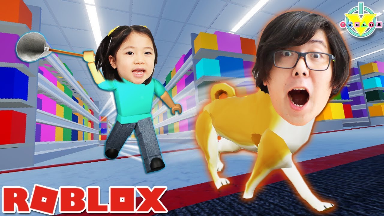 Pet catchers roblox codes