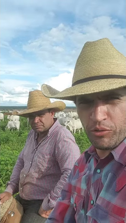 HEY ROY: CORPINHO EM FORMA