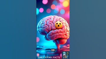 Mind-Blowing Memory Facts You Never Knew 🧠✨ #facts #shorts #memory