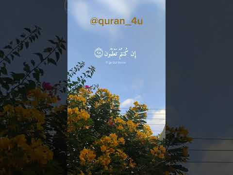 و لا تشتروا بعهد الله ثمنا قليلا تلاوة خاشعة قران كريم  ارح قلبك اسلام دين عبدالرحمن مسعد