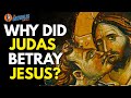 Why did judas betray jesus  the catholic talk show