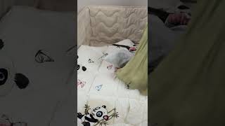 أمان طفلك ولياليه السعيدة، مفارش المواليد بجودة عالية وتصاميم أنيقة. screenshot 1