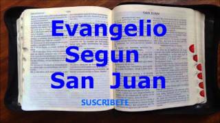 Evangelio Segun San Juan (Completo Narrado)