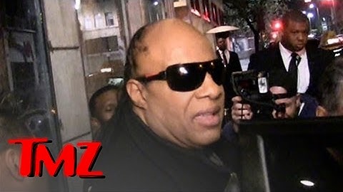 Stevie Wonder: I Support the Grammy Prudes! | TMZ