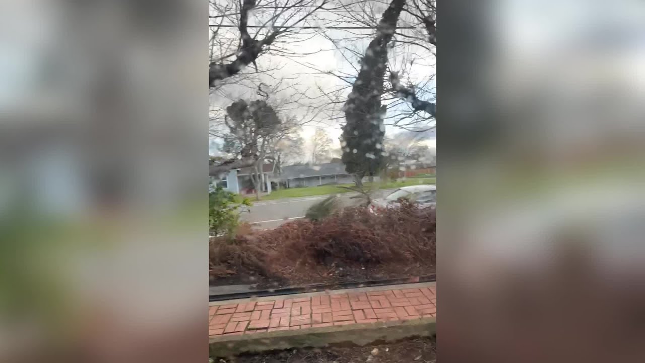 WATCH: Strong winds knock down tree in Lincoln - YouTube