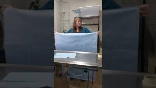 skill sheet #2 drape