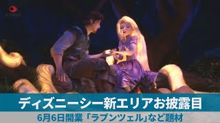 ディズニーシー新エリアお披露目  6月6日開業 「ラプンツェル」など題材