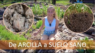 SUELO ARCILLOSO: técnicas parar recuperarlo by Mi Jardin en el Desierto 198,591 views 7 months ago 35 minutes