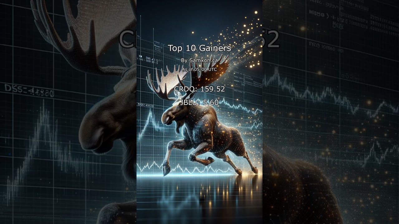 Top 10 Daily Stock Gainers