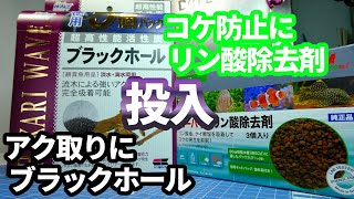 流木のアク取りに最強の活性炭ブラックホールとコケ対策にエーハイム リン酸除去剤を外部フィルター2213に投入してキラキラクリアなアクアリウムに！！