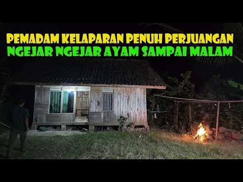 Pemadam Kelaparan Ngejar Ngejar Ayam Sampai Malam..Buruan Pun Hilang Dua Ekor..