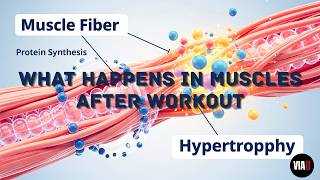 How Muscles ACTUALLY Grow 🔥 | Science-Based Hypertrophy Explained
