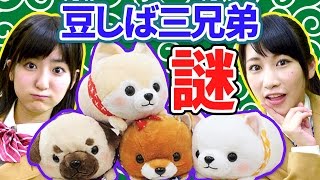 【クレーンゲーム】可愛いけど謎すぎる景品にツッコミまくる!! 【豆しば三兄弟】