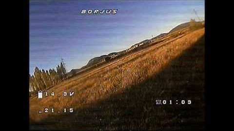 Diatone crusader gt2 2017