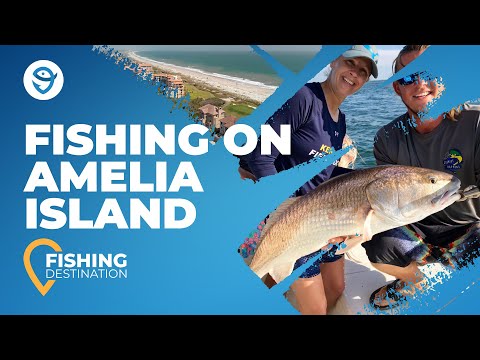 Fishing on Amelia Island: The Complete Guide
