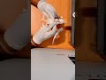 Satisfying T-Rex Kit Card Assembly #3dprinting #dinosaur #trex