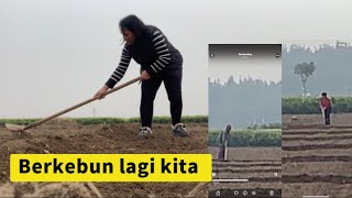 Download Lagu LANJUTKAN PEKERJAAN DI KEBUN GANDUM BIKIN BEDENGAN ATAU BATAS UNTUK NGAIRI KEBUN GANDUM 🌾 MP3 Download Lagu LANJUTKAN PEKERJAAN DI KEBUN GANDUM BIKIN BEDENGAN ATAU BATAS UNTUK NGAIRI KEBUN GANDUM 🌾 MP3