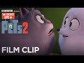 The Secret Life Of Pets 2 | Clip: Asking Chloe - Now on 4K, Blu-ray, DVD & Digital | Illumination