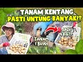 yang gak tahu RUGI BANGET!!😭 tanam kentang segampang ini!!  | Dn'sGarden eps.2