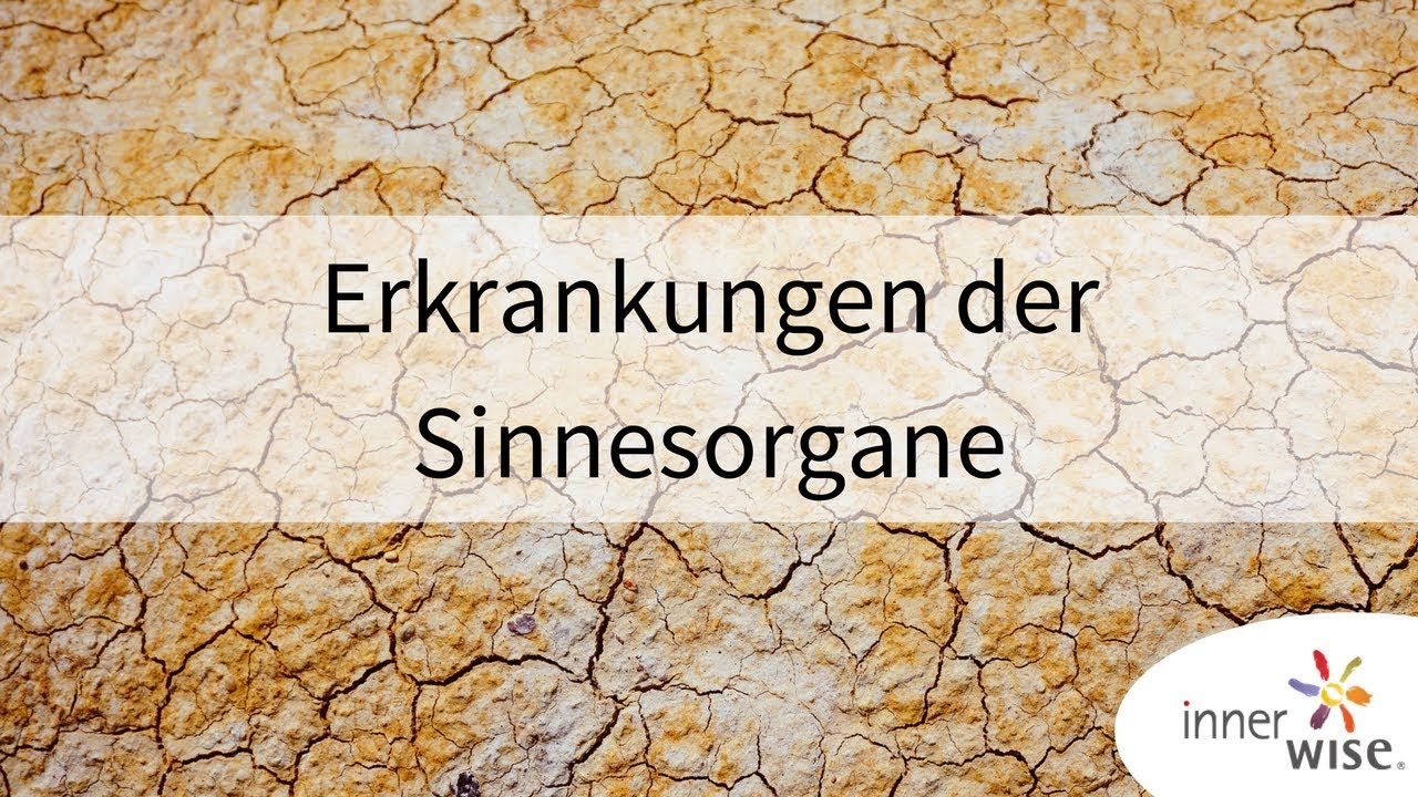 Erkrankungen der Sinnesorgane | innerwise | Uwe Albrecht - YouTube