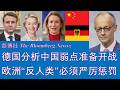 野猫论政 3017：彭博社 - 德国分析中国弱点准备开战；欧洲“反人类”行为，必须严厉惩罚