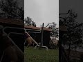 Stay ABNORMAL. (Music in the Description)
